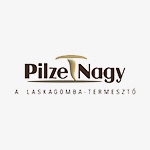 Pilze_logo_s_barna